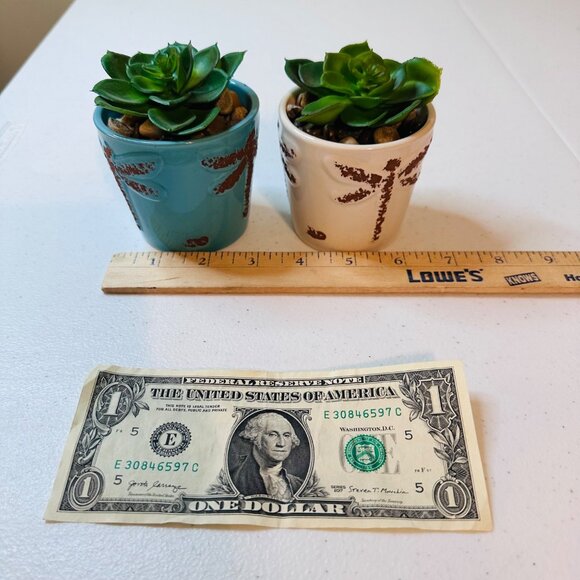 Artificial Succulent Plants In Dragonfly Pots Set Of 2 Decorative Greenery - Picture 6 of 6